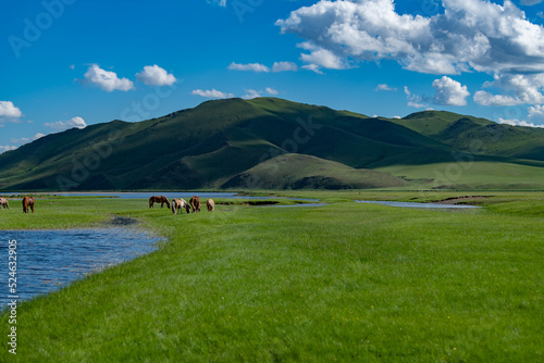 Mongolia great nature 