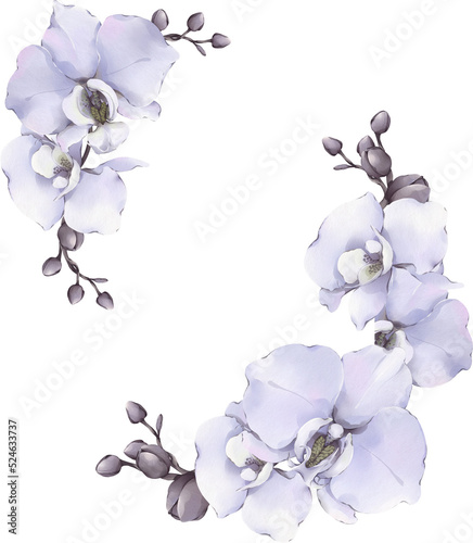 frame of orchid flowers