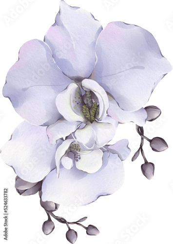 bouquet of orchid flowers