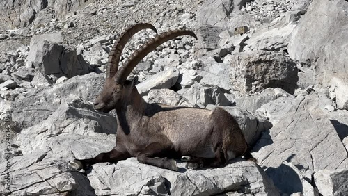 In der Schweiz am Säntis