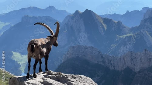 In der Schweiz am Säntis
