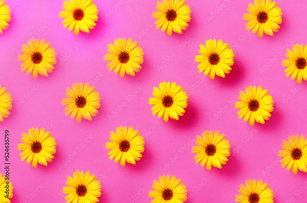 Pattern of Calendula flowers on a pink background.