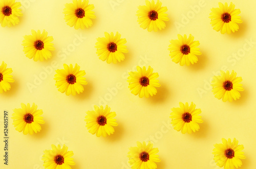 Pattern of Calendula flowers on yellow background.
