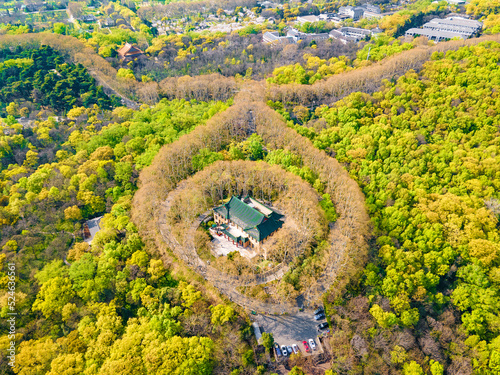 Aerial photography of Meiling Palace Scenic Spot in Nanjing City, Jiangsu Province, China in autumn and the Nanjing urban building complex in the distance photo