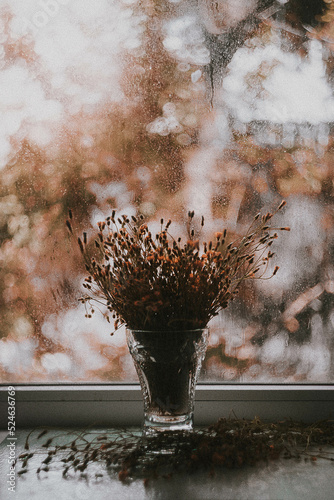 autumn leaves 