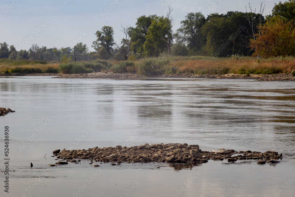 Śmierdząca rzeka Odra bez życia po zatruciu wody - obrazy, fototapety, plakaty 