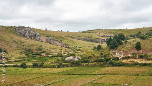 Typical Madagascar landscape - green and yellow rice terrace fields on small hills in region near Farariana