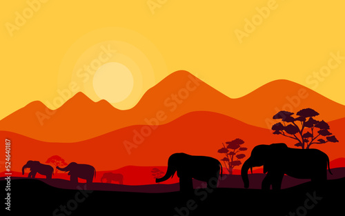 silhouette of elephant in the savanna