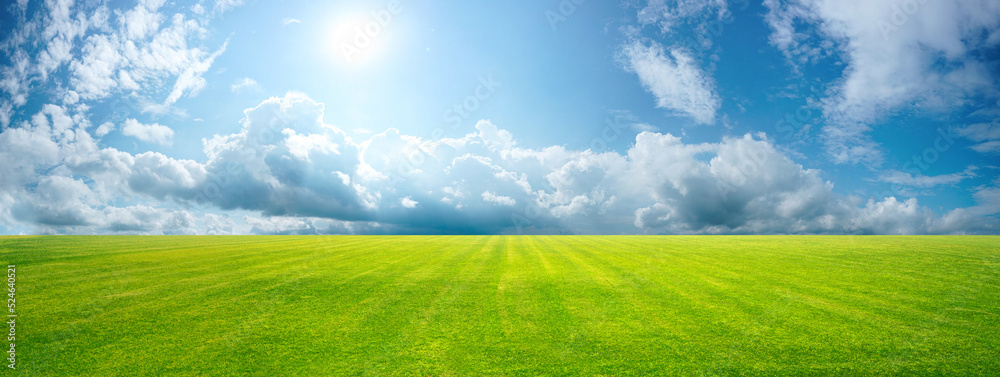 Beautiful natural scenic panorama green field of cut grass into and blue sky with clouds on horizon. Perfect green lawn on summer sunny day.