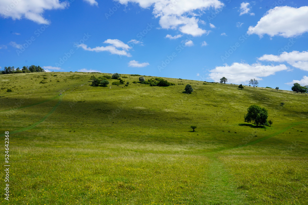 Views over green fields and blue sky with clouds Views over green fields and blue sky with clouds