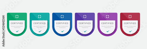 Shield badge design template. Business corporate certification logo. Vector illustration infographic security modern.