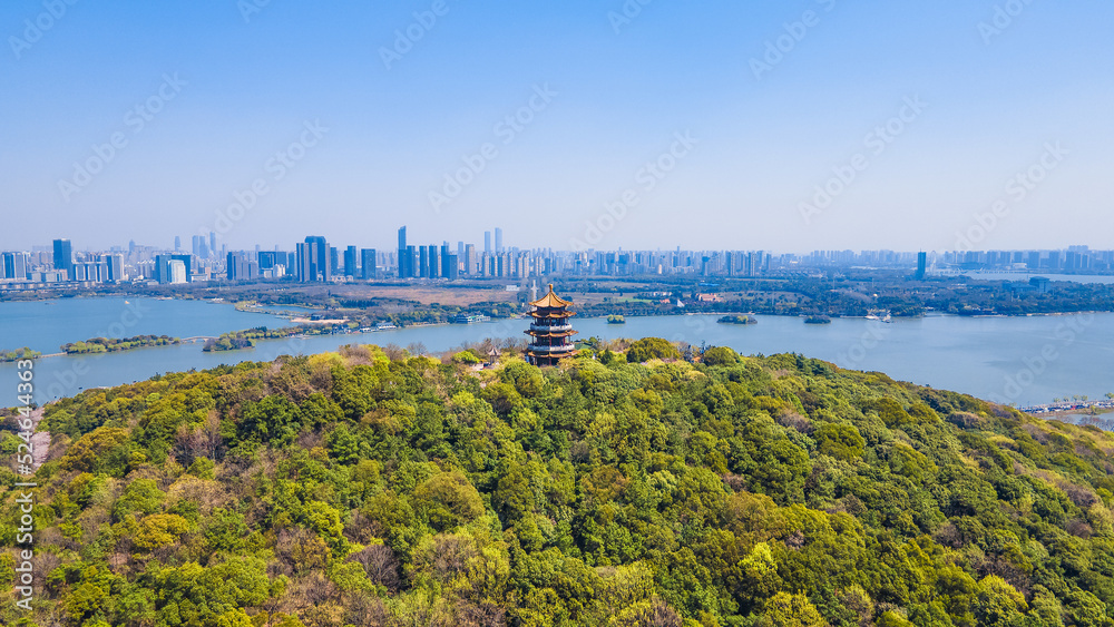 Aerial photography of Yuantouzhu scenic spot with cherry blossoms blooming in Wuxi City, Jiangsu Province, China in spring
