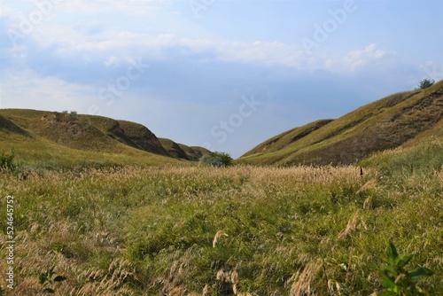 landscape in the mountains