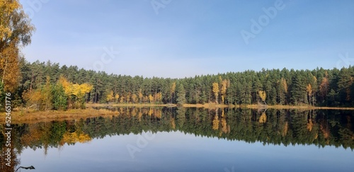 autumn in the forest