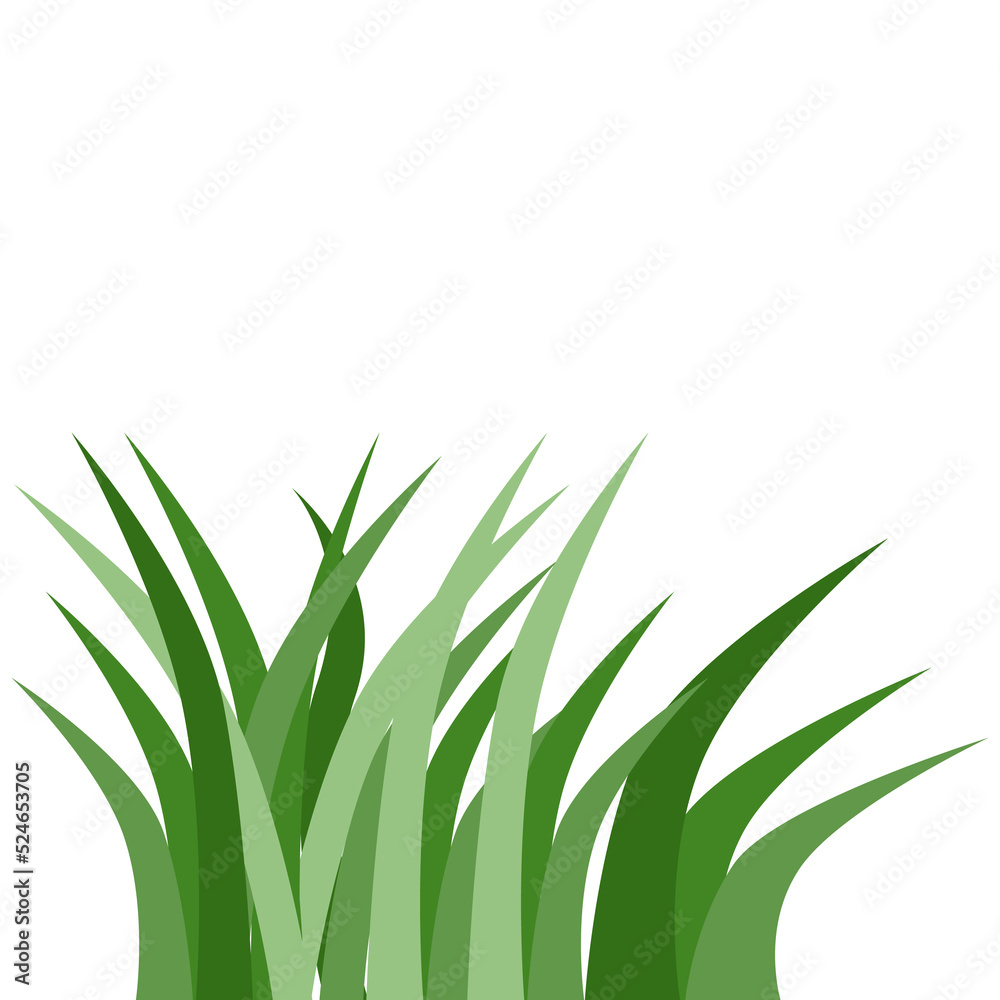 Obraz premium Plants Reed Shrubs Bush Trees Green Forest Realistic Nature