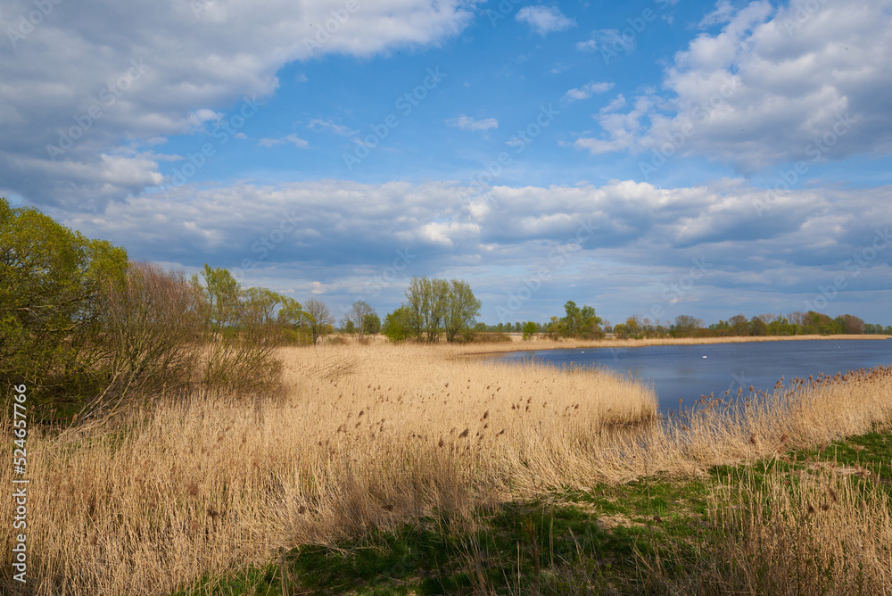 Teichland Linum im Frühjahr in Brandenburg