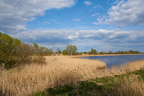 Teichland Linum im Frühjahr in Brandenburg