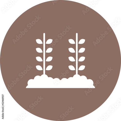 Wheat Plantation Glyph Circle Background Icon