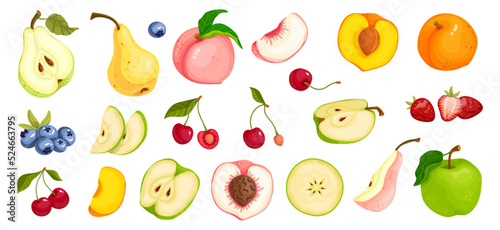 Collection of ripe cherries, strawberries, blueberries and summer fruits pear, apple, peach, apricot. Vector graphics.