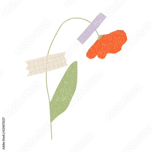 Hand drawn dried flower with washi tape . Vector element isolaten on white background
