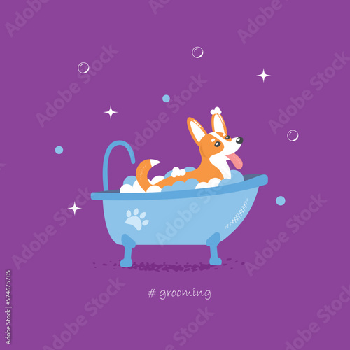 Vector cartoon style illustration of cute corgi dog taking a bath full of soap foam. Grooming concept. Violet background.