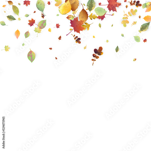 Leaves Falling Autumn Foliage Chaotic Leaf Flying