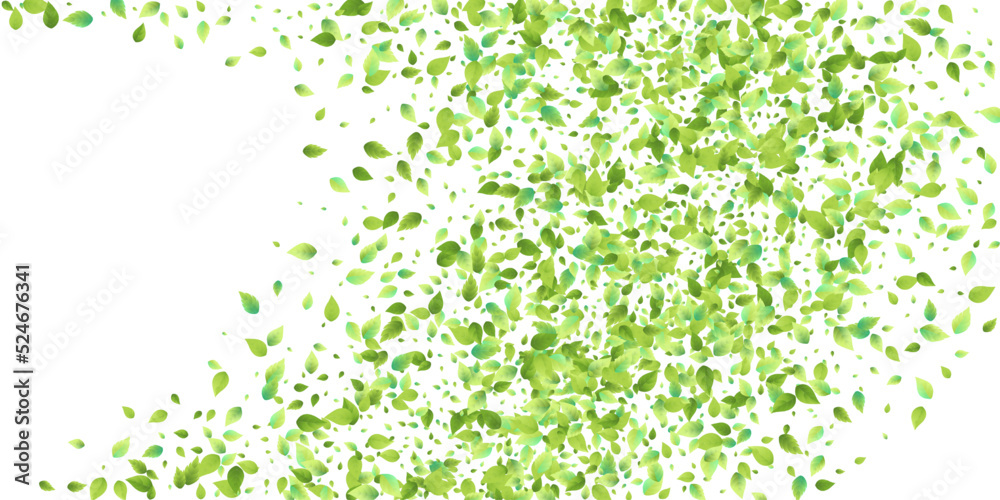 Leaves Green Falling Flying Foliage Leaf Tea Mint Leaves Green Falling Flying Foliage Leaf Tea Mint