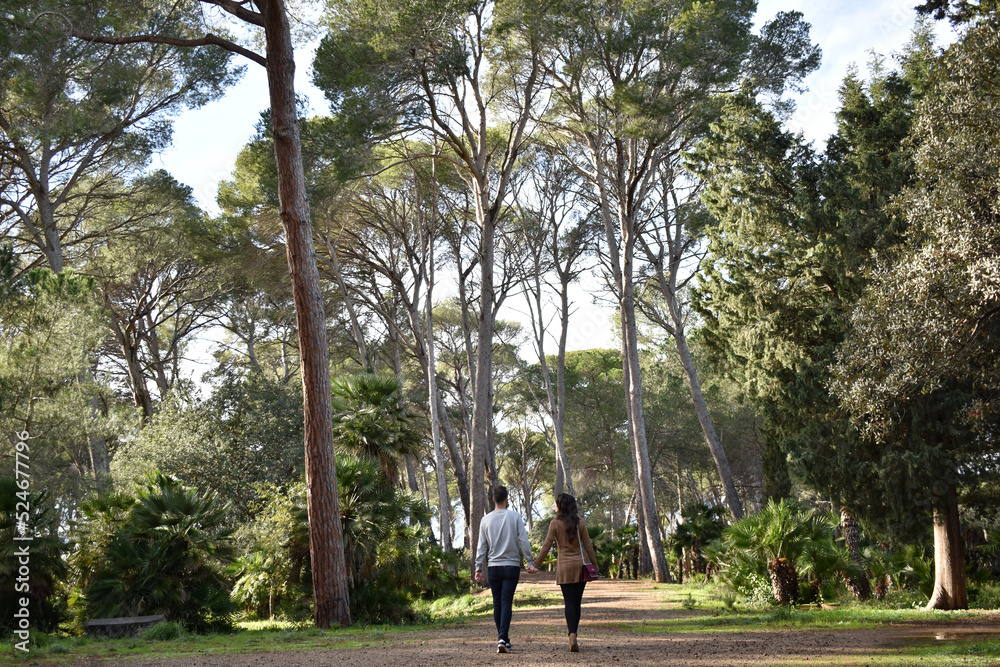 Fototapeta premium Pareja paseando en un bosque con grandes y altos árboles cogidos de la mano