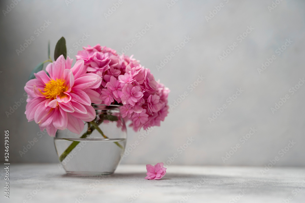 Still life pink flower bouwuet, pink hydrangea and dahlias in glass vase on neutral background soft, selective focus. Still life pink flower bouwuet, pink hydrangea and dahlias in glass vase on neutral background soft, selective focus.