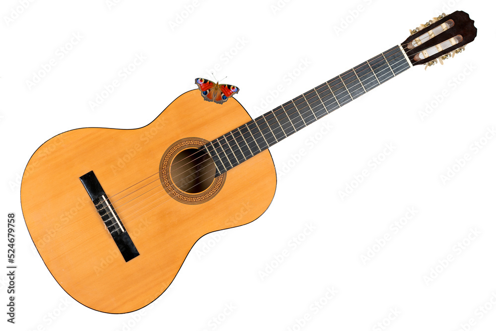 Classical acoustic six-string guitar isolated on white background. Butterflies sit on the guitar.