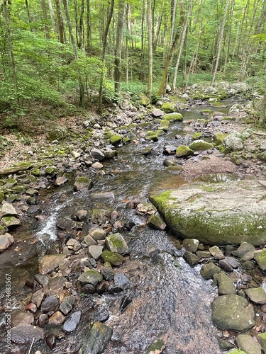 Mountain Stream