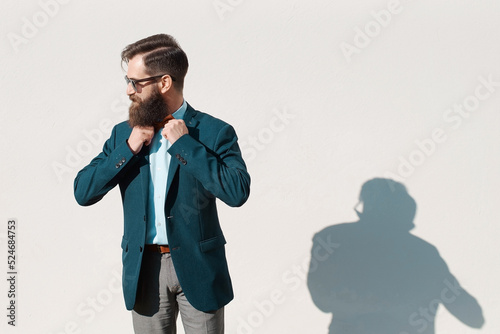 Obraz na płótnie Stylish man with beard wearing a jacket, shirt and bow tie w salonie