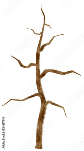 Leafless dead tree dry tree watercolor illustration for Decorative Element © b.illustrations