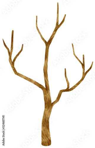 Leafless dead tree dry tree watercolor illustration for Decorative Element