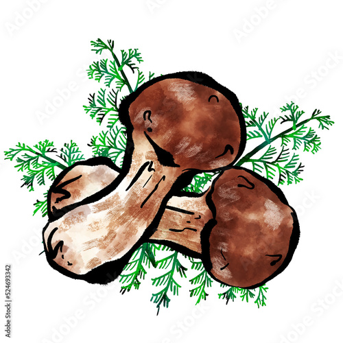 「松茸（まつたけ）」の手書きイラスト（筆書き墨絵風）