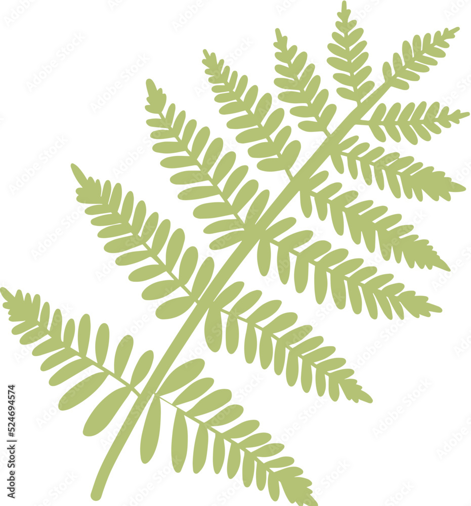 leaf silhouette leaf silhouette