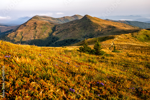 Fototapeta Naklejka Na Ścianę i Meble -  The highest part of the Bieszczady Mountains in Poland in the late summer morning.