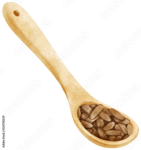 watercolor cocoa beans in wooden spoon
