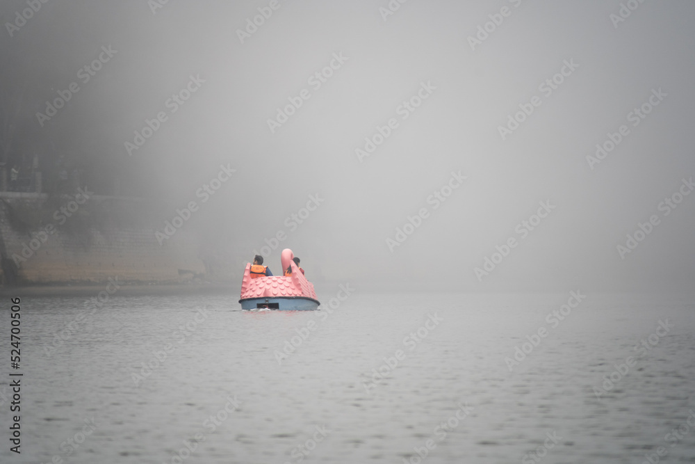 multiple varieties of colorful boats shaped like dragons, sail boats, pedal boats in fog haze clouds with colorful buildings in the background showing tourists enjoying this hill station in Nainital U