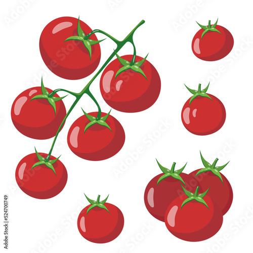 Cherry tomatoes. Set of tomatoes isolated on white background. Vector flat color illustration.