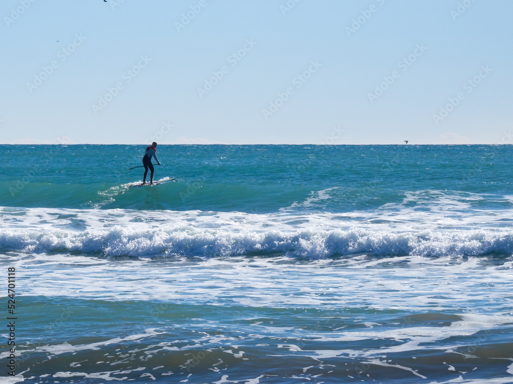 Olas y surf