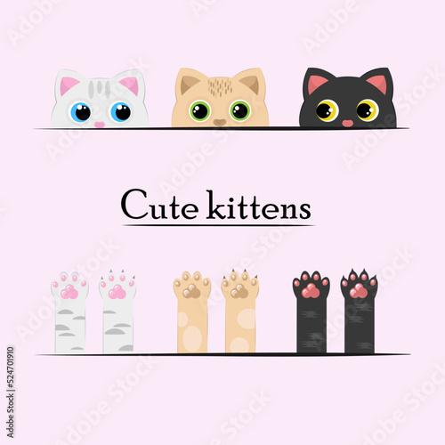 Сute kittens and paws