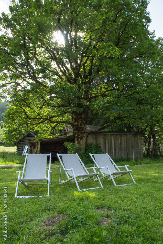 liegestühle liegestühle