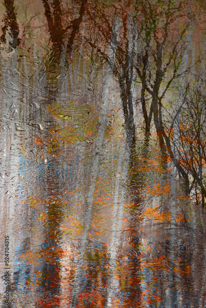 Fototapeta premium 700-02 Iced Autumn Reflections