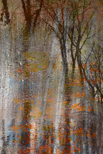 700-02 Iced Autumn Reflections