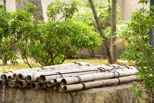 the Japanese garden