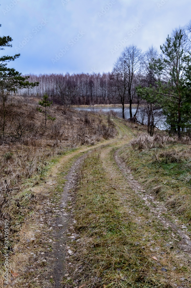 path in the woods path in the woods
