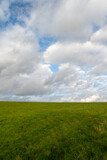 Grasfläche mit wolkigem Himmel