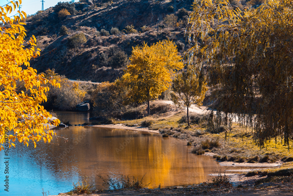 Obraz premium Autumn landscape with lake and trees with golden leaves. Selective focus. Copy space.