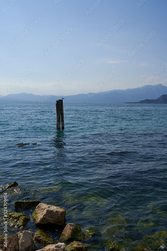 Fototapeta premium The clear blue water of Lake Garda with wooden stake on a summer afternoon